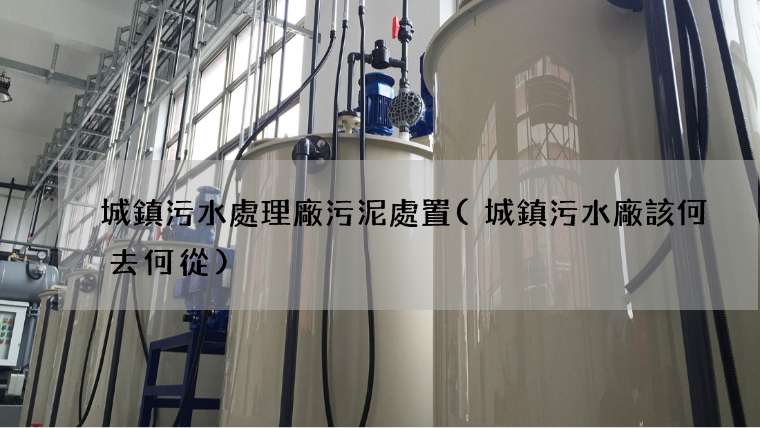 城鎮污水處理廠污泥處置(城鎮污水廠該何去何從)
